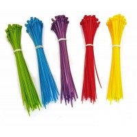 Hampool High Quality 2.5*100mm Wholesale Factory Direct Self Locking Hotselling Nylon Zip Cable Tie With Label